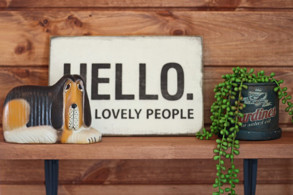 西尾市の地中熱住宅。C値0.09の安定した温熱環境により、観葉植物も健やかに育つイリートデザインのリビング。