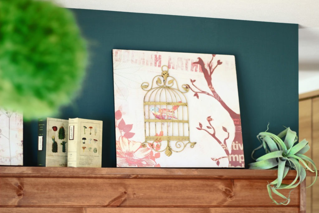 西尾市の地中熱住宅。C値0.09の安定した温熱環境により、観葉植物も健やかに育つイリートデザインのリビング。