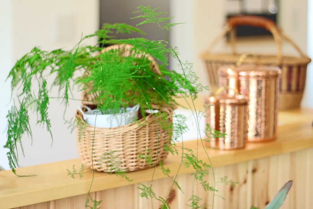 岡崎市の注文住宅。レンジフードレスを可能にした開放的なキッチンカウンター。C値0.13の超高気密施工。